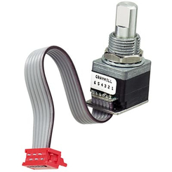 Wire & Cable